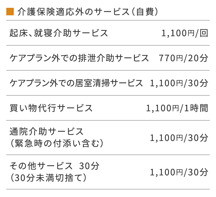 介護保険適応外のサービス(自費)