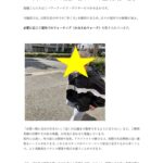 デイ部門ブログ6月号④　かみさわ　のサムネイル